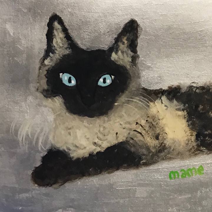 81d782d9 7276 459d b74d 606b997c90e3 1585220965088