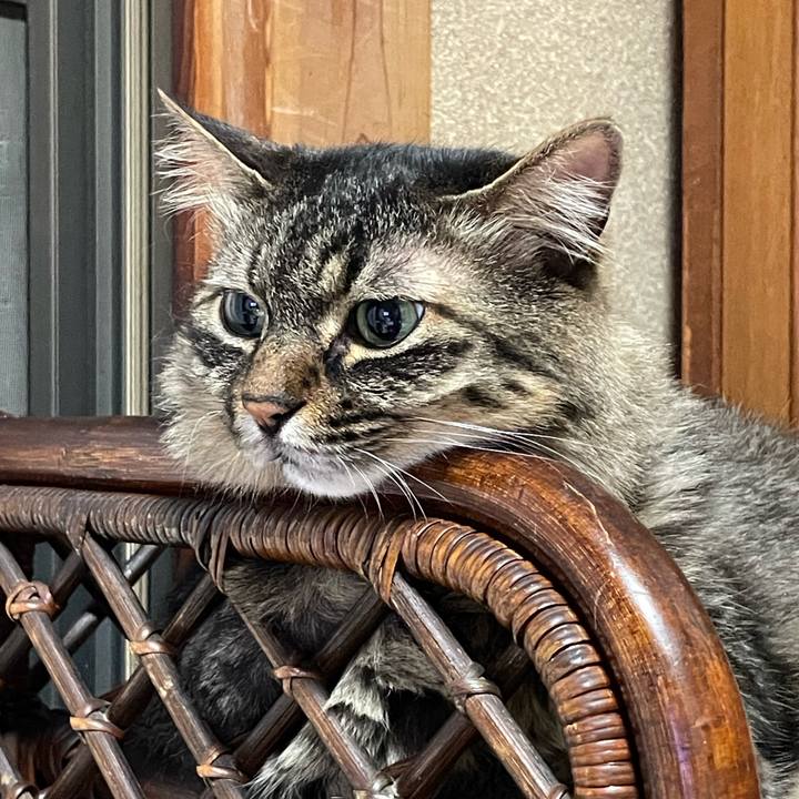 81d7be15 19e4 4668 84a0 ad4c24d6574c 1657375466682