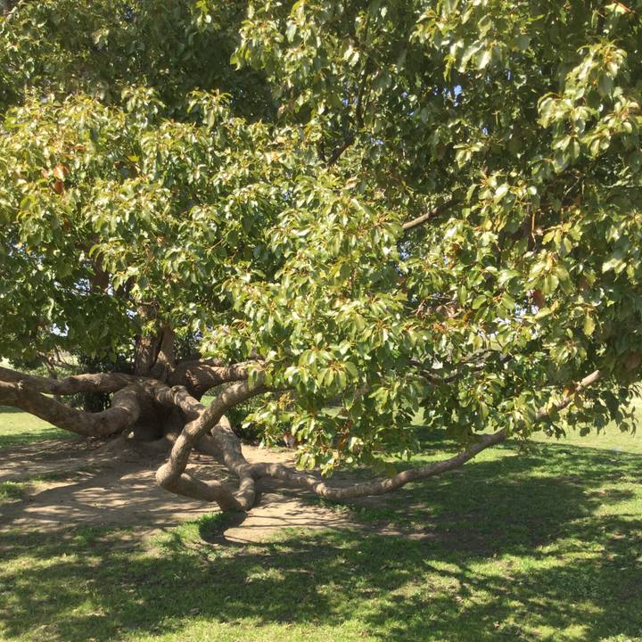 81d7c069 a4c3 43a8 86e0 fb57f01e04db 1553057374195