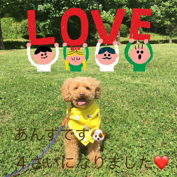 81d7da53 d958 454d 8f1f 2b1a6256a24a 1529977146699