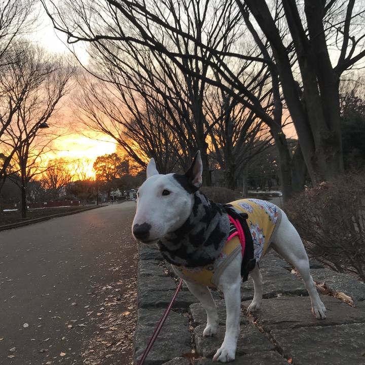 81d7e539 4ad9 449c a941 30c88235546a 1517392368284