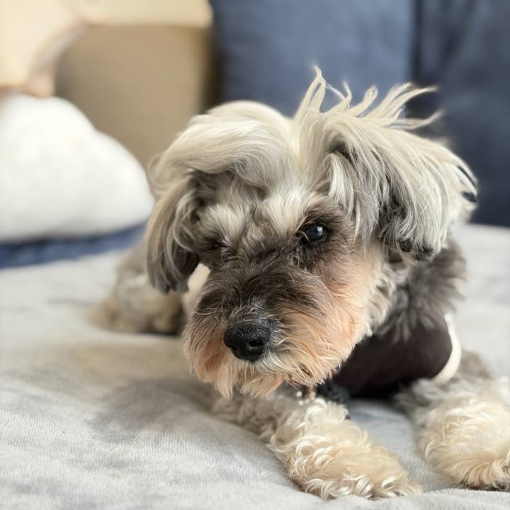 81d8065a 4b47 41de a2ca 8f883eec27e1 1773731778404