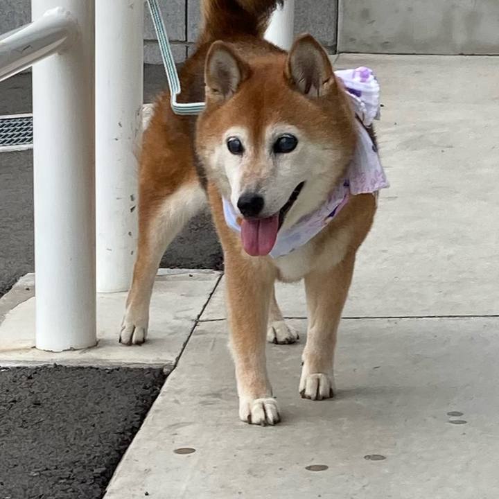 81d80c37 5c64 4520 8775 896013a967f6 1722157135663