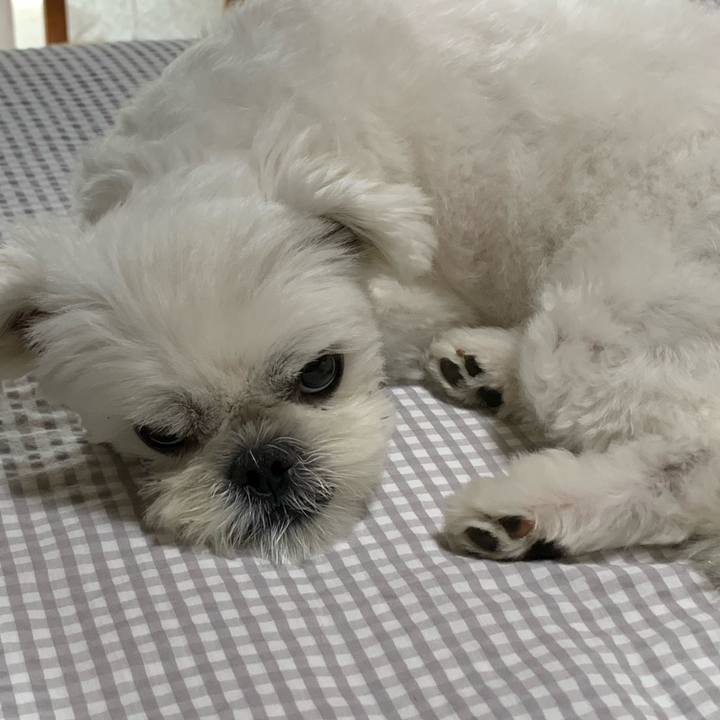 81d84798 bd7d 4727 bbcb 70d2bc81bc5c 1656078989554