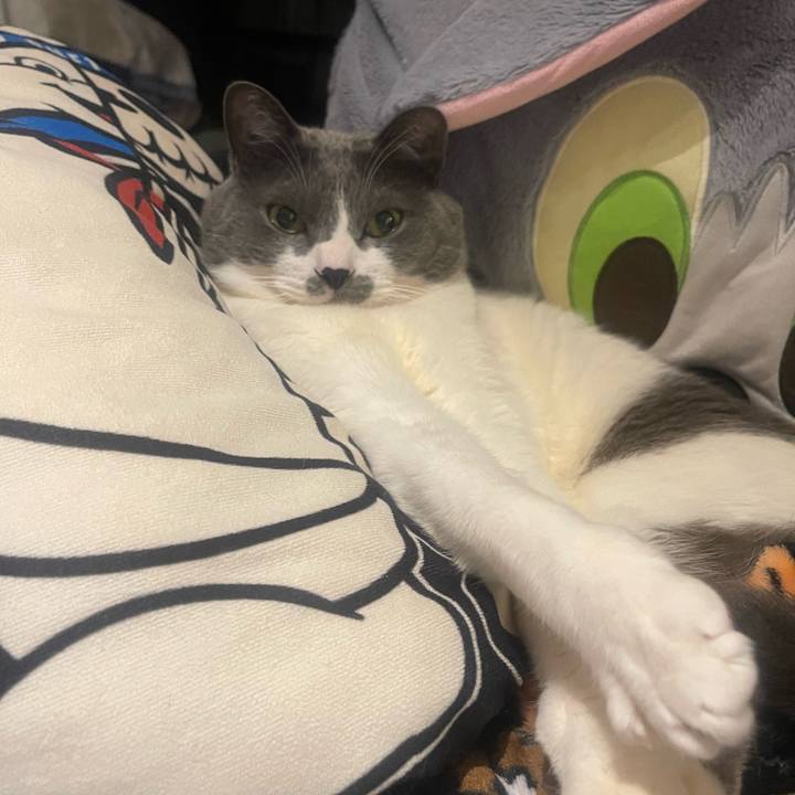 81d872f9 44bd 42ff a41a 3721a4693de6 1710009006275