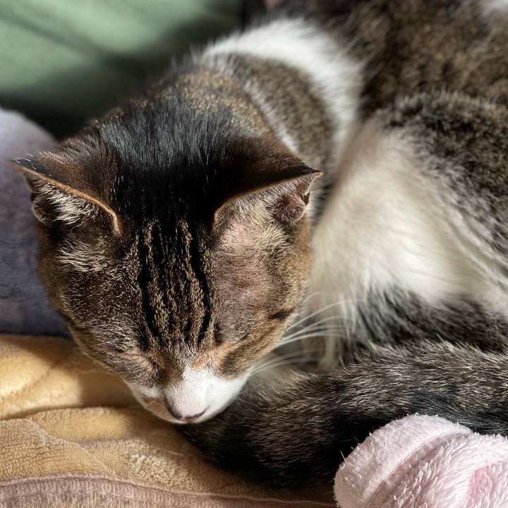 81d87c18 e5f1 46f1 9869 78df6a18c52b 1650850927457