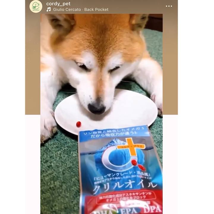 81d8940c 3144 4dbb 8782 c0cf09831718 1717759020388