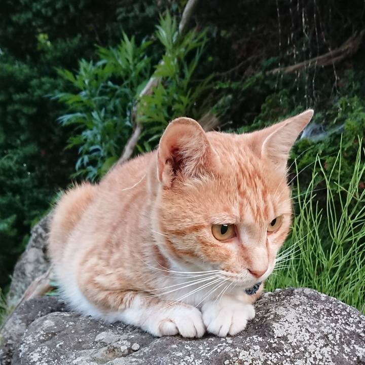 81d8e2cc 6bb2 4fde 8b3b d410fbe99269 1562062133373