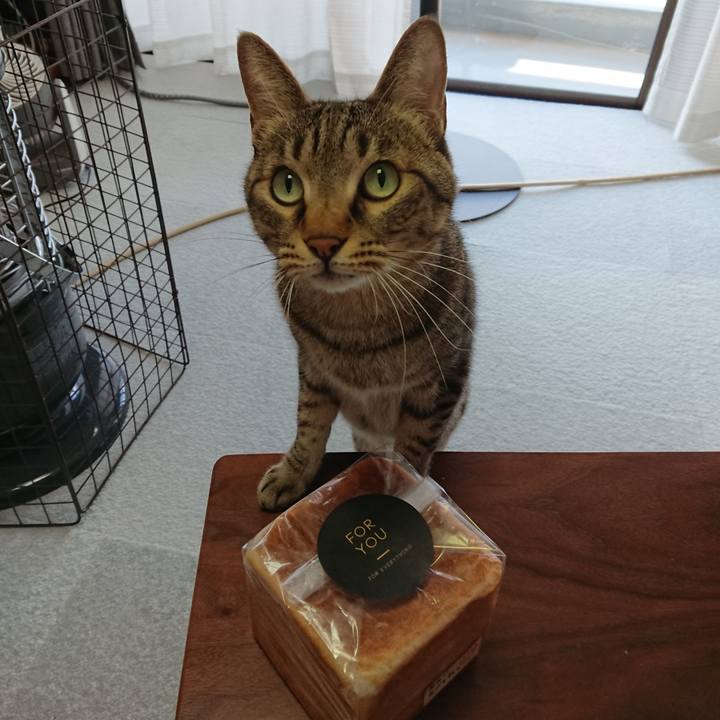 81d8ef9b 5af9 400a 9e3f 3491b295b5ef 1611286504827