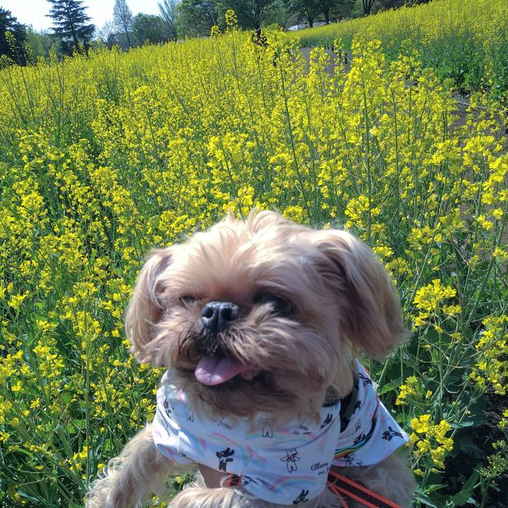 81d907f2 d911 4d21 a6ec 7496160d4e4b 1618123661720