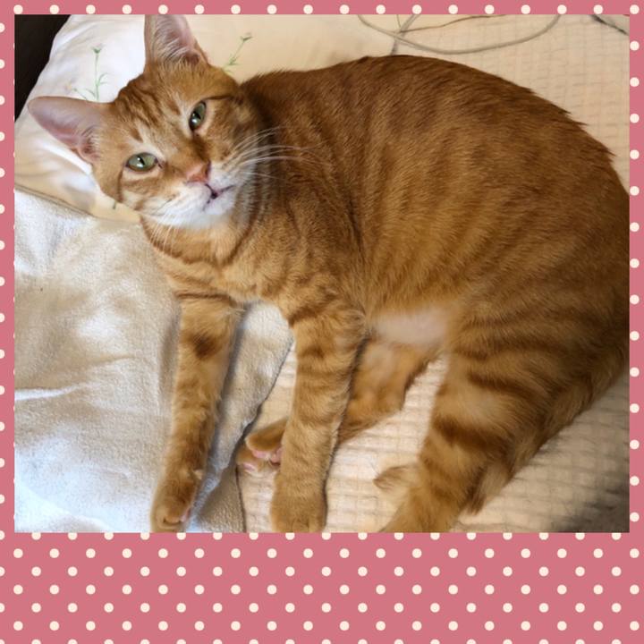 81d908c8 5d0f 4abd b5a0 d6decf129a29 1574549608173