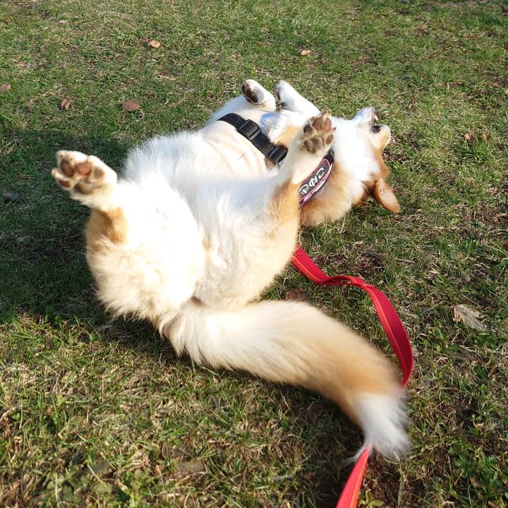 81d94305 a69a 4565 b415 208018e7255b 1775692265918