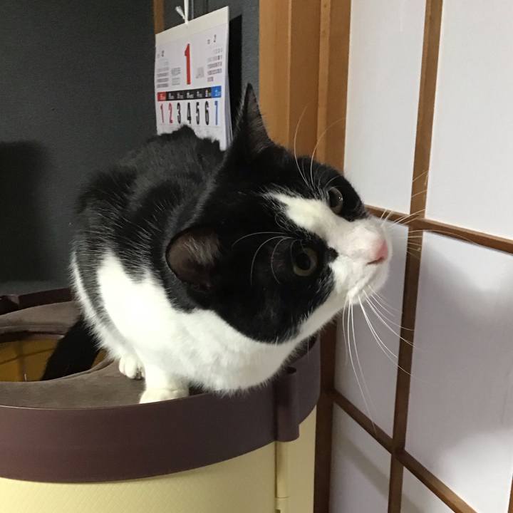 81d94bc8 6281 498d abbc 9d17044dca7b 1674729734045