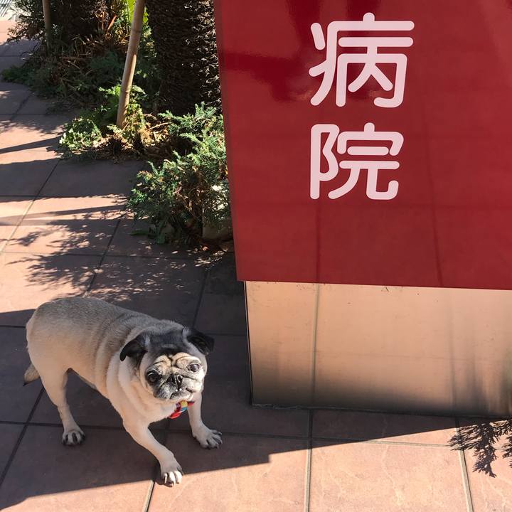 81d993e2 54f8 4255 8c85 928b0e1592d0 1511495906715