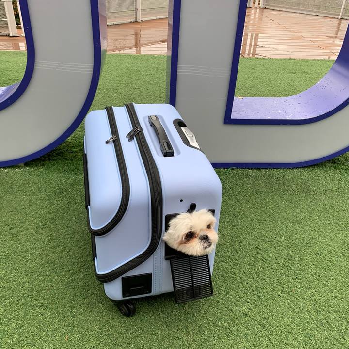 81d9d340 2f4a 45e8 a6c0 9a47f99ac569 1701177600353