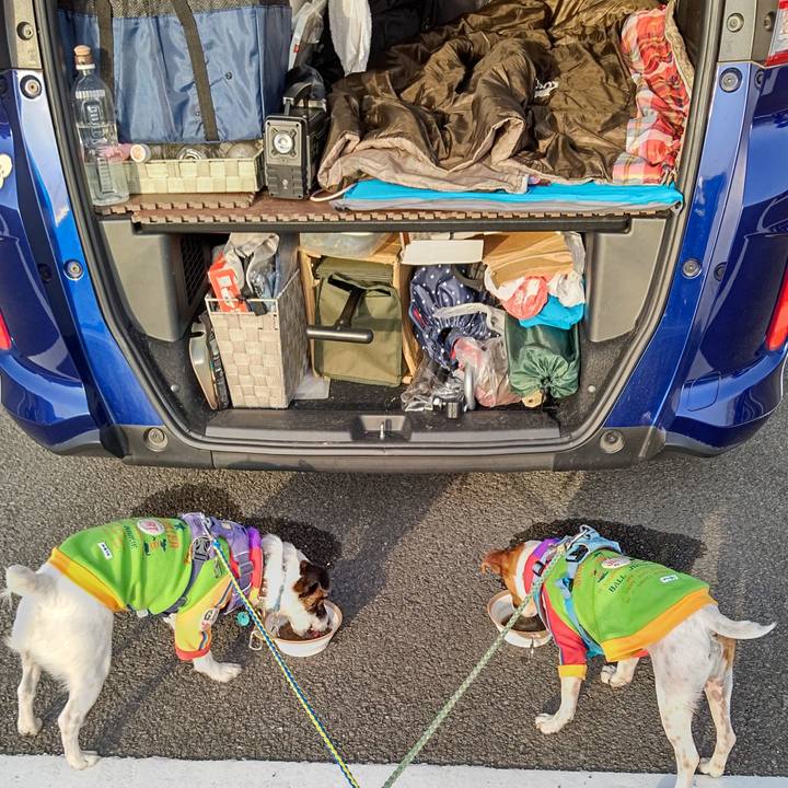 81d9ebe9 2a96 4533 82d4 0abeba708d2d 1678579407971