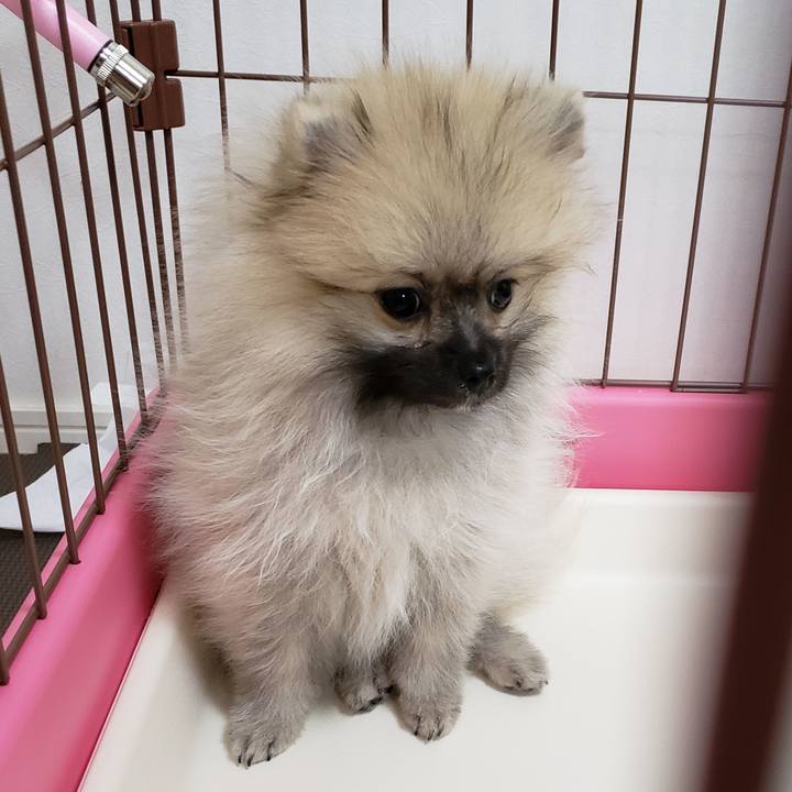 81da1447 f41d 4539 ac93 d667114c5828 1610114699330