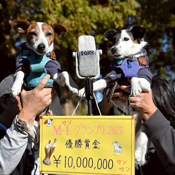 81da543f 460c 4011 be65 f968eaadd619 1762174910915