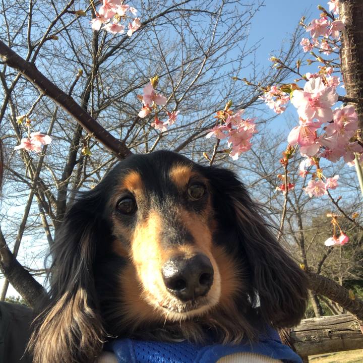 81da54d2 d346 490d 9fbd 4a5f2776b787 1582760305006