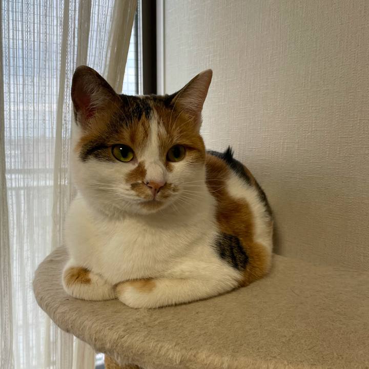 81da69b3 d770 476f 972a efae013e6e00 1606865862718