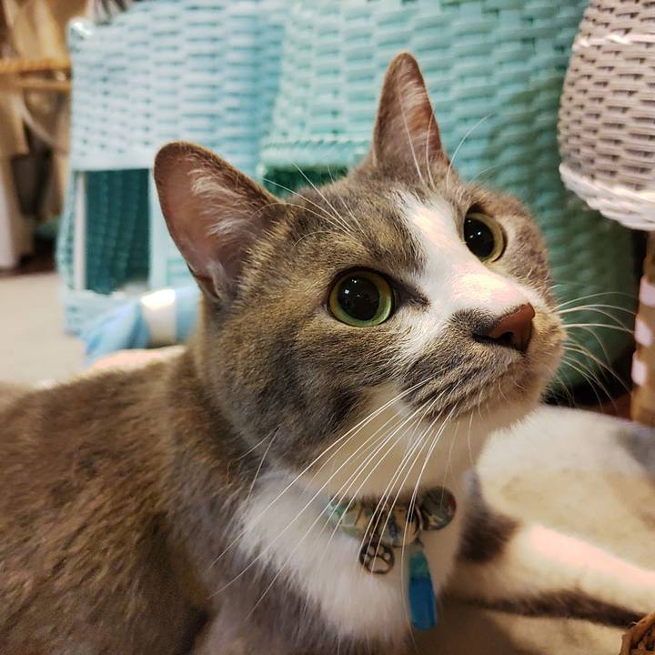 81da6fca e0bf 4f0d a65c 87ce5beb87ae 1686260194607