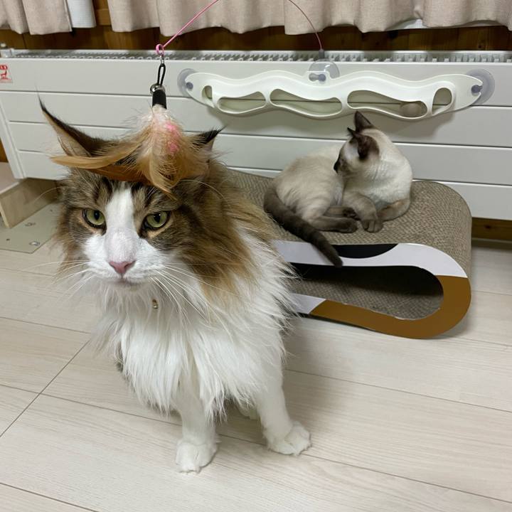 81da9466 7a77 4e5b 9f36 dfb2d855cfa0 1693307881907