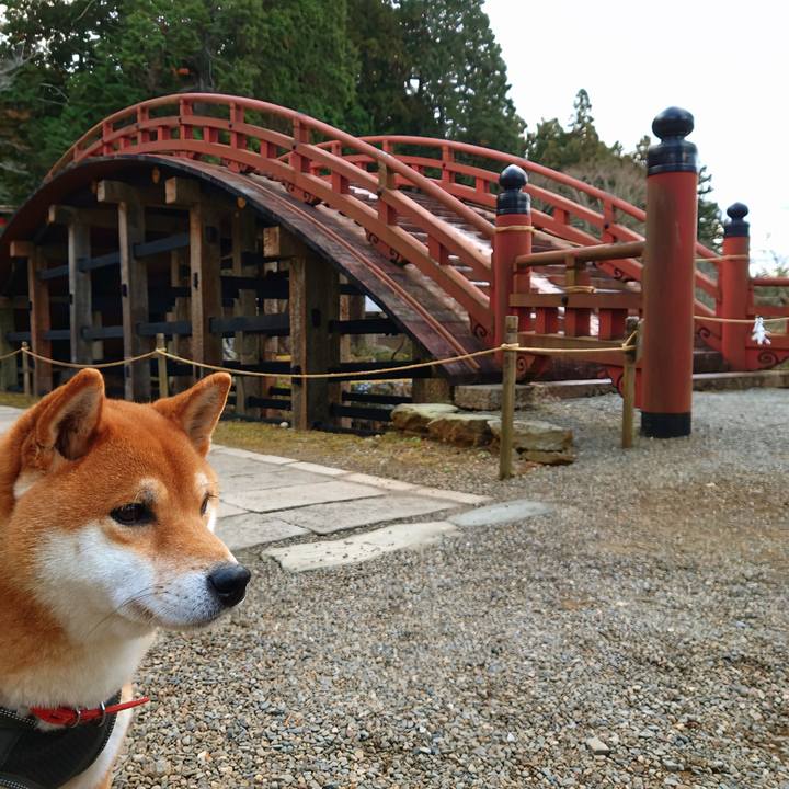 81da97b2 30da 4e9d 8059 ae74487ae1c1 1767260635185