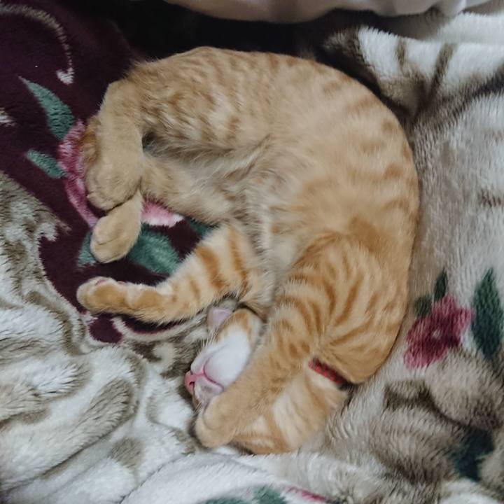 81daaf5a bff3 4f13 b044 96ec721266db 1633782716300