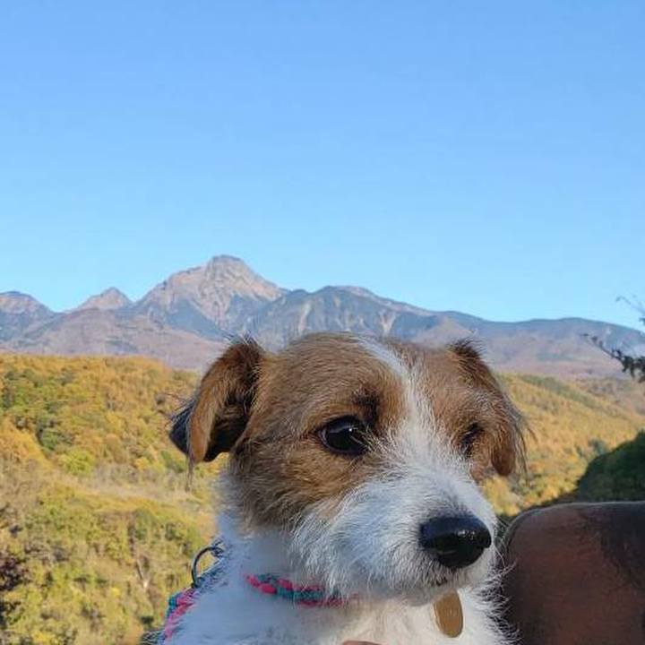 81db2a3b 9ce5 40f1 85e5 c4a92ad3ad5b 1573340271798