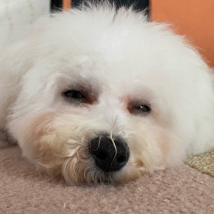 81db3a2f 407f 42d8 8ec5 27eae49d872f 1749016884238