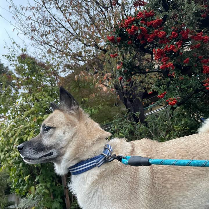 81db3a46 2e3a 44e4 8151 50f5acc8c06f 1700223024703