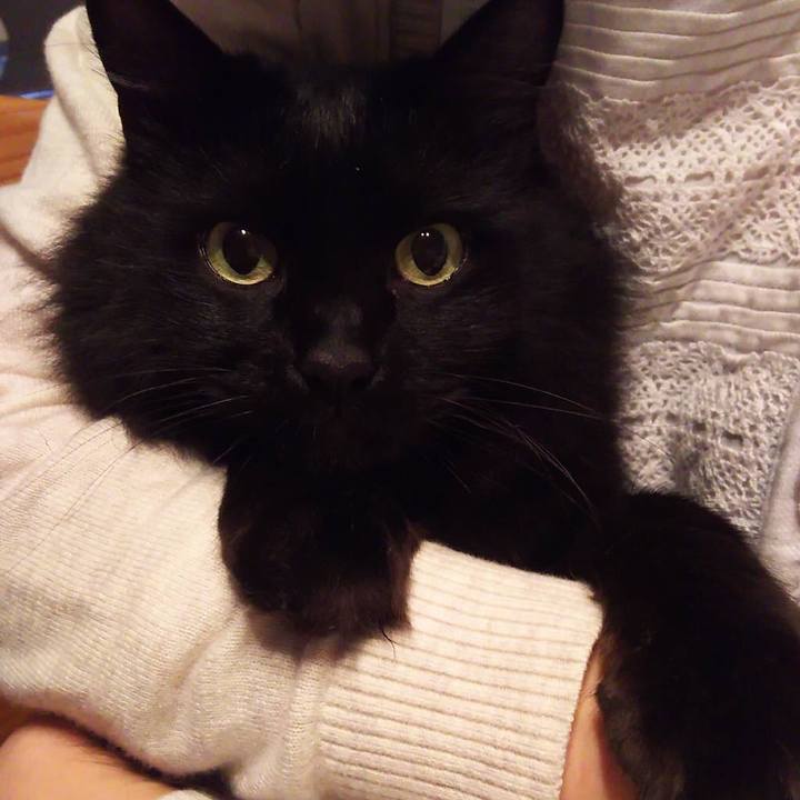 81db464e e7a8 40b9 8468 1cfea17bd0da 1515413240075