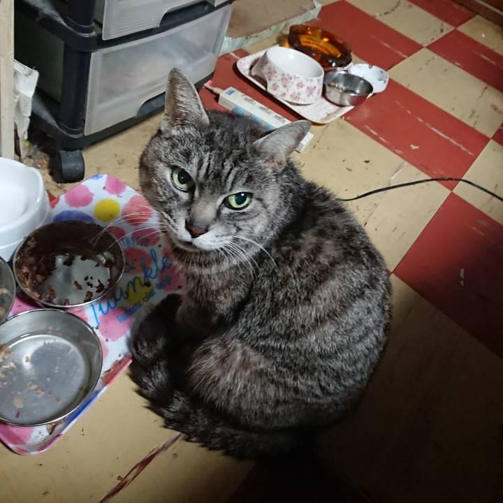 81db4bf6 4373 41cb b4d3 2d8336877549 1553117029237