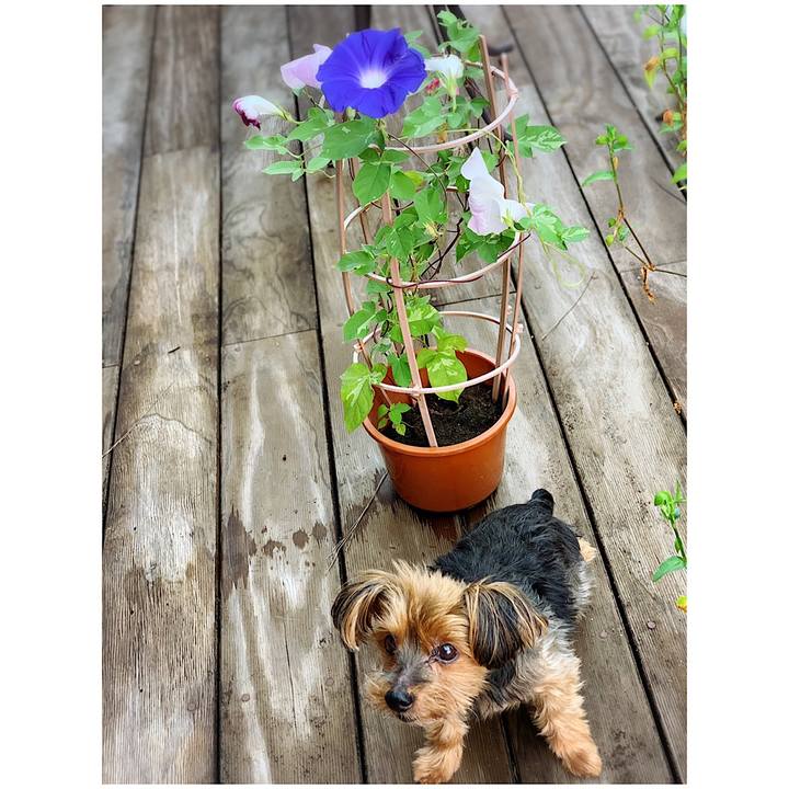 81db8e04 d72a 41a6 aa49 0991d763d101 1628458964708