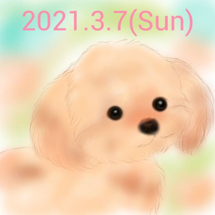 81dba450 e5b8 4479 8964 55fd4f8c02a2 1615099578810