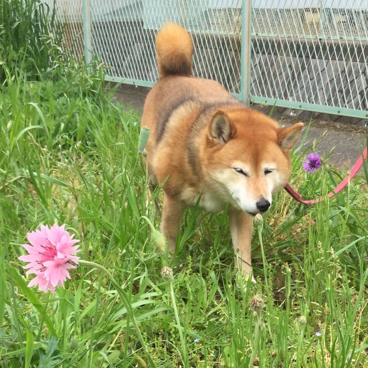 81dba910 d4d4 4f64 8ea3 4d03df7f149f 1588564201029