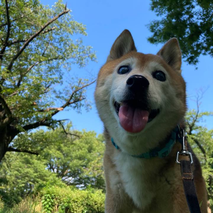 81dbae44 11aa 4672 84cb c540b4e1c2a2 1753231581715