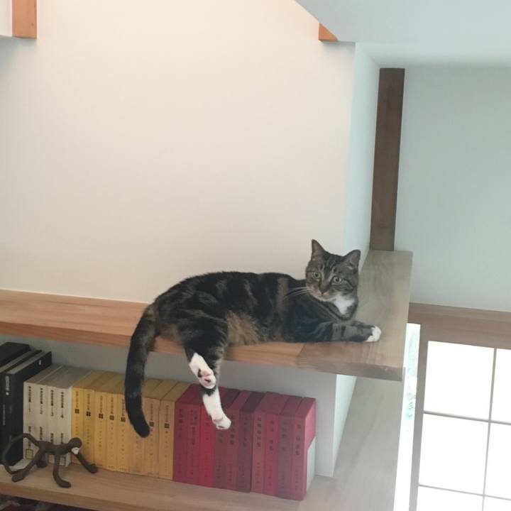 81dbd1d9 955c 481e 80f4 5a50aa4443cf 1567430763572