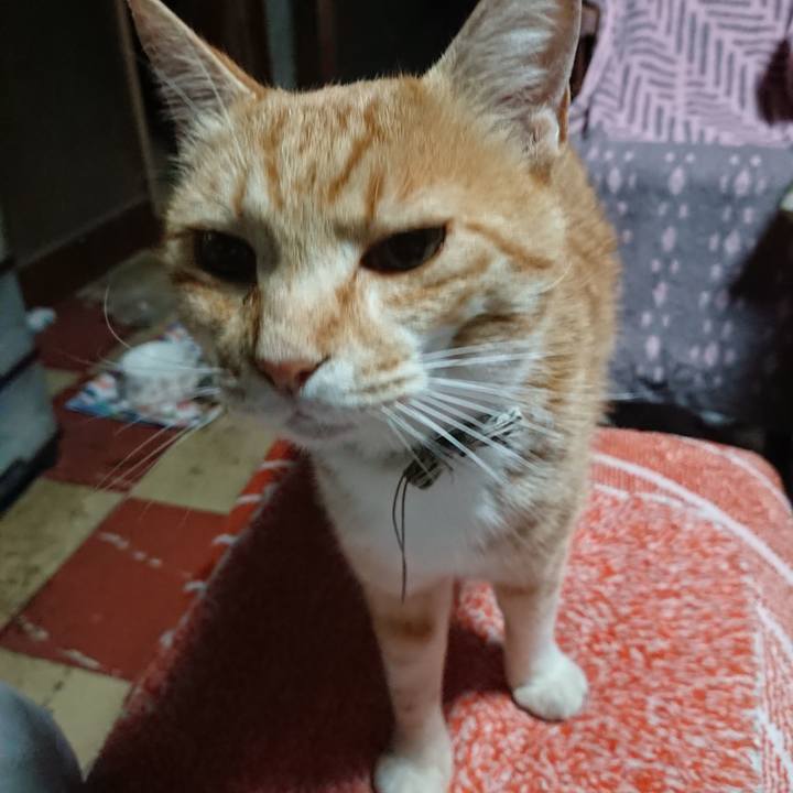 81dbe361 b6c3 450a 911d ce5821331892 1591384795602