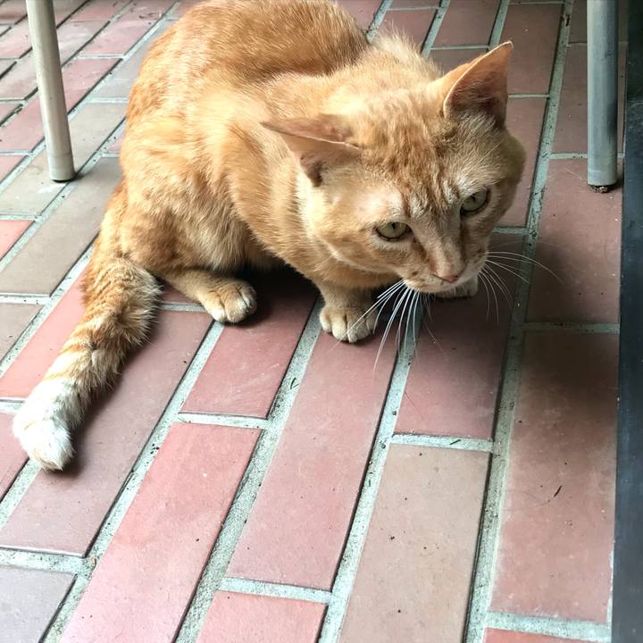 81dc299e 896b 46f3 aa0b 07e437be2435 1623724423705