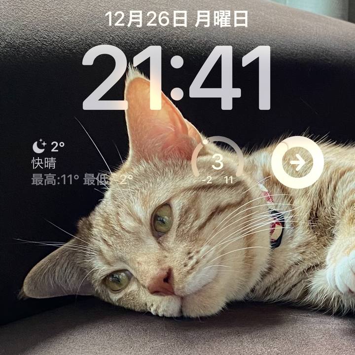 81dc33fb ddf2 411c 96a4 42b56a423186 1672058544255