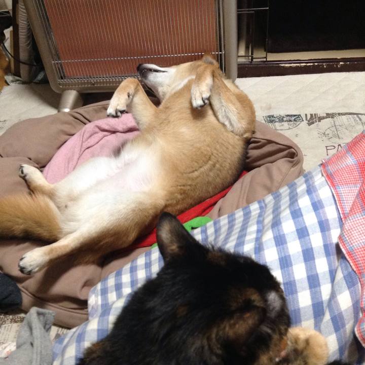 81dc4894 c392 4081 9c33 851cb0871535 1521182501261