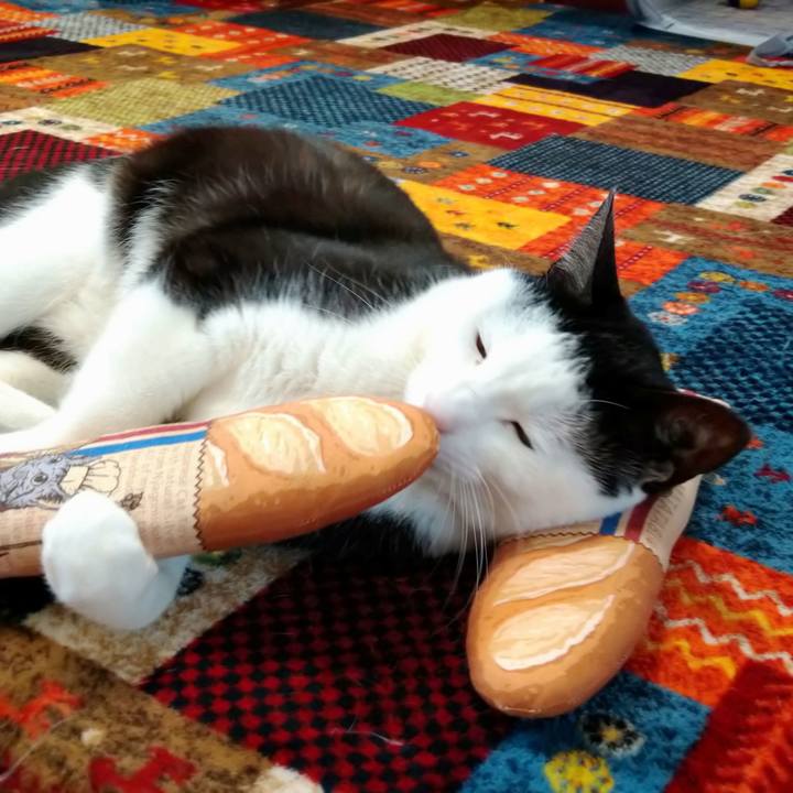 81dc5cca 68a9 419b 8f8b 46eacd4a8df7 1585190626635