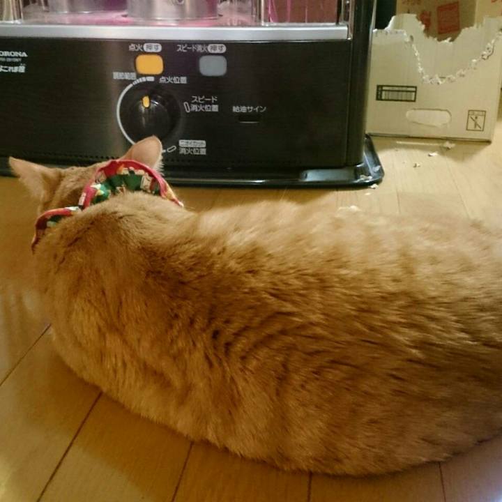 81dc6359 bac4 4061 a89a d11f73ef95d8 1514679267743