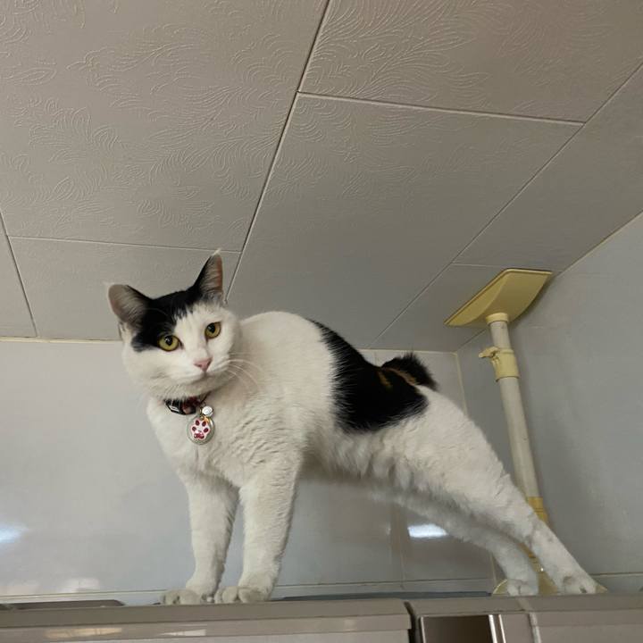 81dc96a2 cf46 467a 83b1 f0457bd315ec 1642809848519