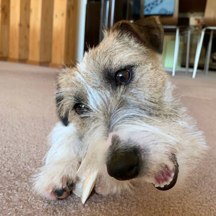 81dce1b7 845e 40ec 95d8 a7566e1ce44b 1580518750263