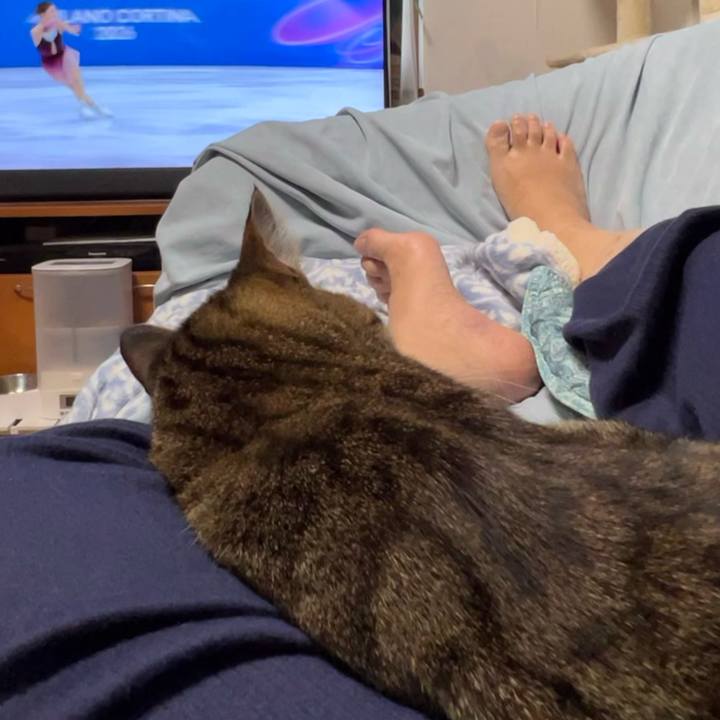 81dd14cc 8471 46d9 bcc2 a13373557bc1 1771538730322