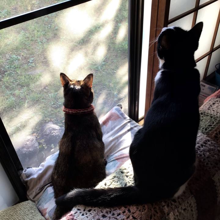 81dd1956 46f3 454e 8714 69f57389d615 1636181329961