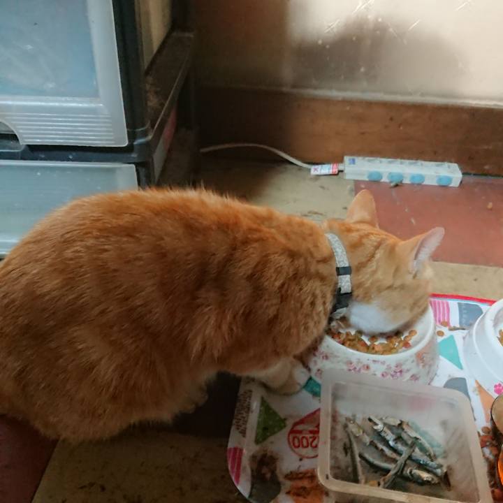 81dd21b4 377d 4abe 9229 ed6fbb7ff35b 1591733696557