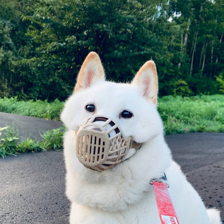 81dd3978 2fd4 4e6e bf56 be86ae2f60e2 1600117118226